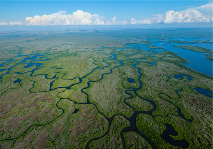 An aerial view of Florida's Everglades National Park