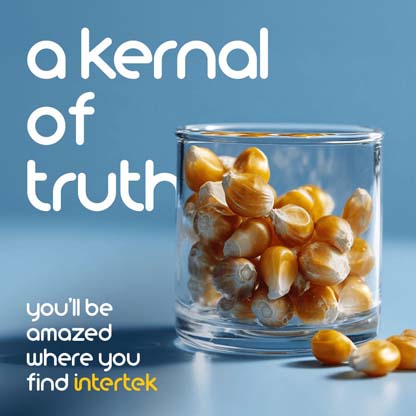 Glass filled with popcorn kernels on a blue background with the words "a kernal of truth" and Intertek branding.
