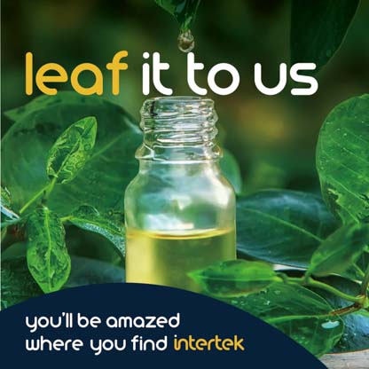 A bottle filled with liquid sitting among plant leaves
